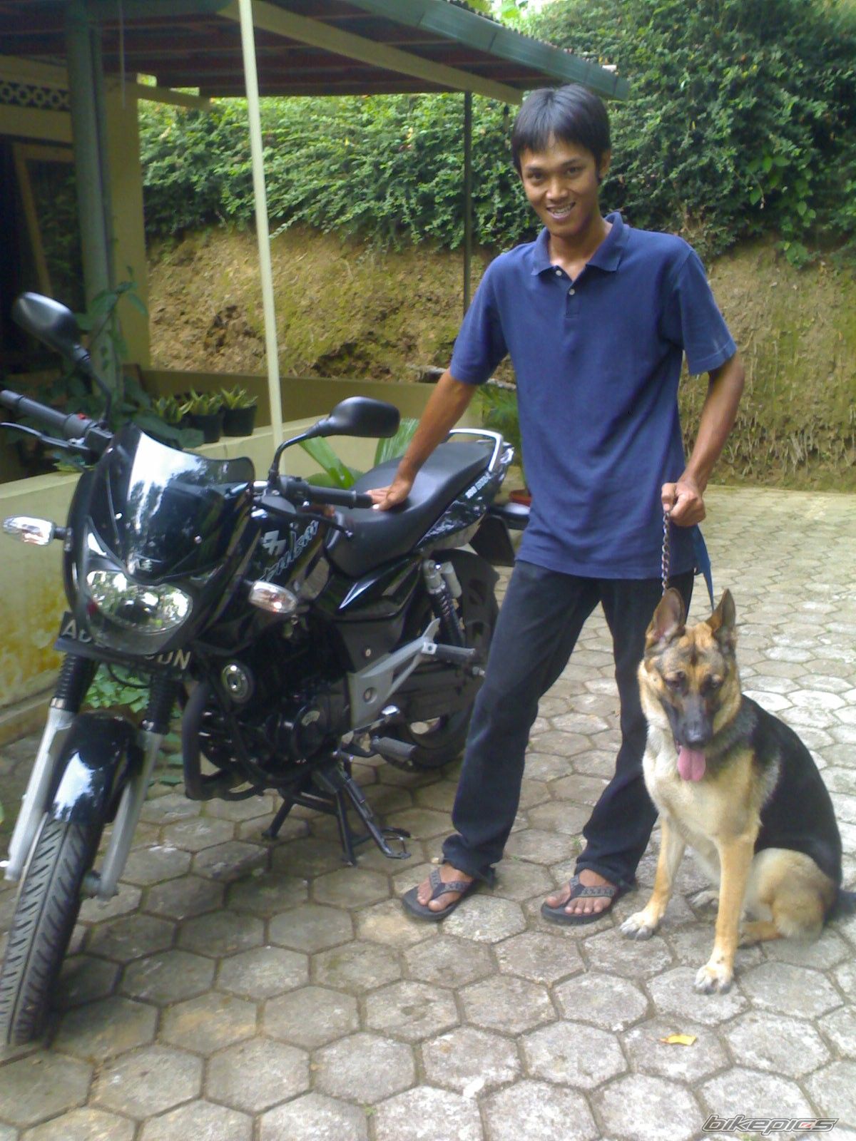 2008 BAJAJ PULSAR 180 | Picture 1403672 motorcycle photo