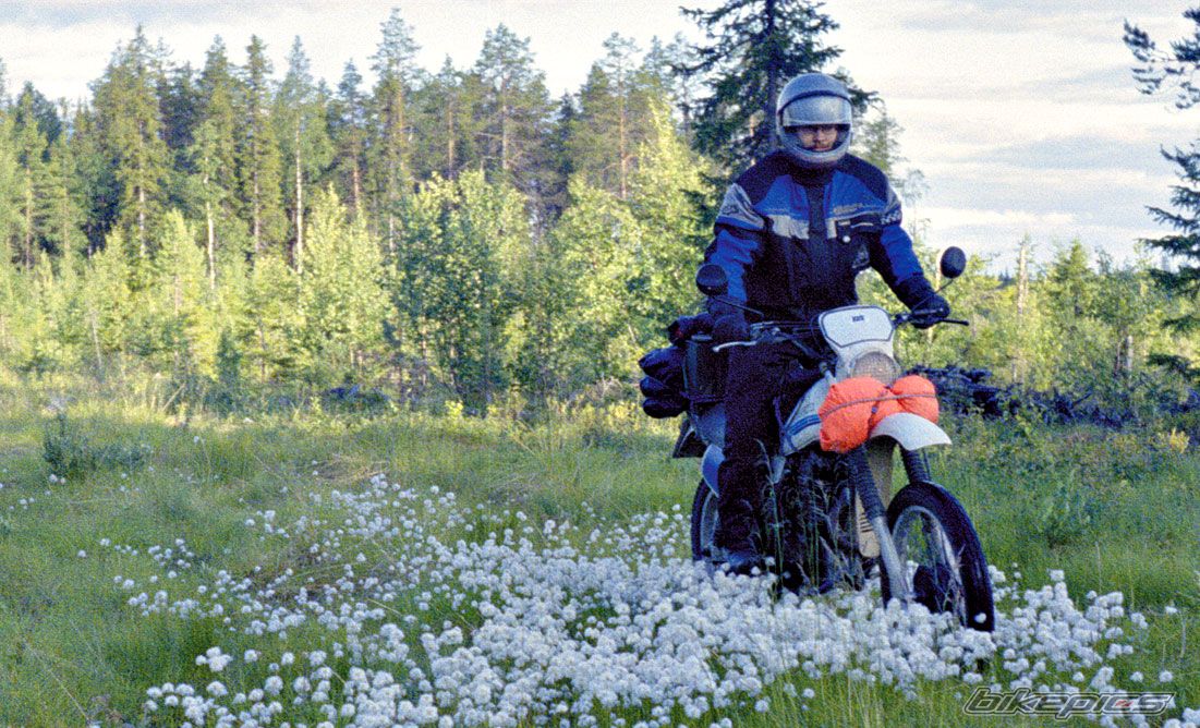 1981 SUZUKI DR 500 | Picture 1404250 motorcycle photo