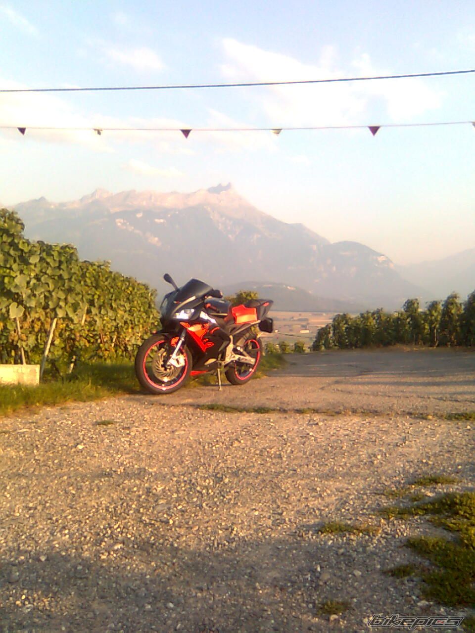 2008 APRILIA RS 50 | Picture 1404300 motorcycle photo