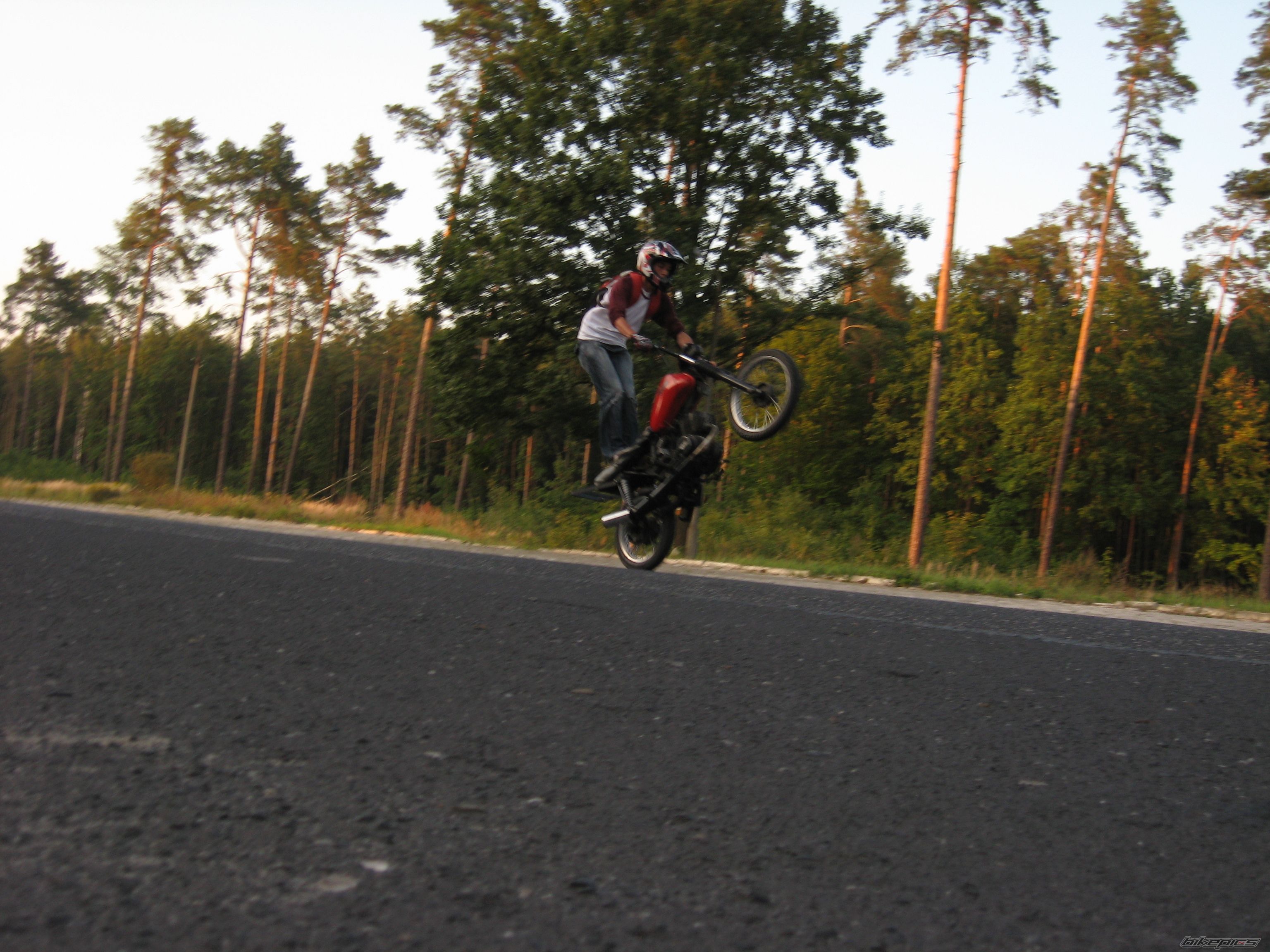 2008 MZ ETZ 150 | Picture 1405297 motorcycle photo