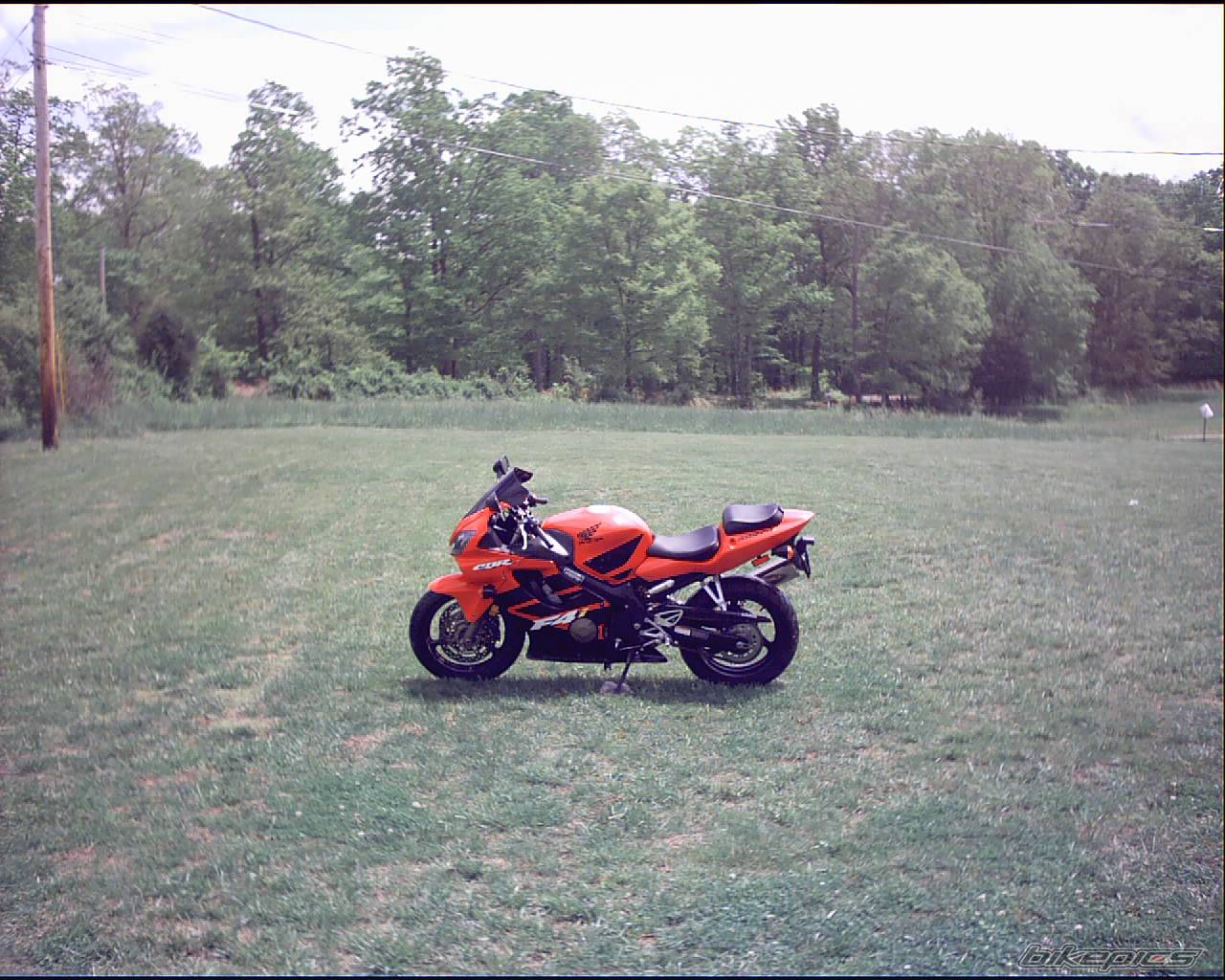 2002 HONDA CBR 600 | Picture 140539 motorcycle photo