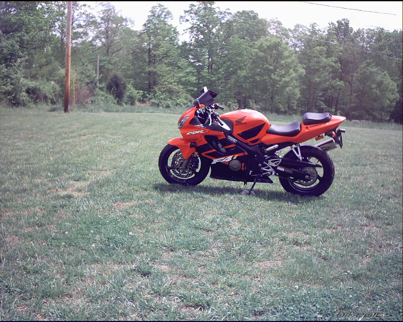 2002 HONDA CBR 600 | Picture 140540 motorcycle photo
