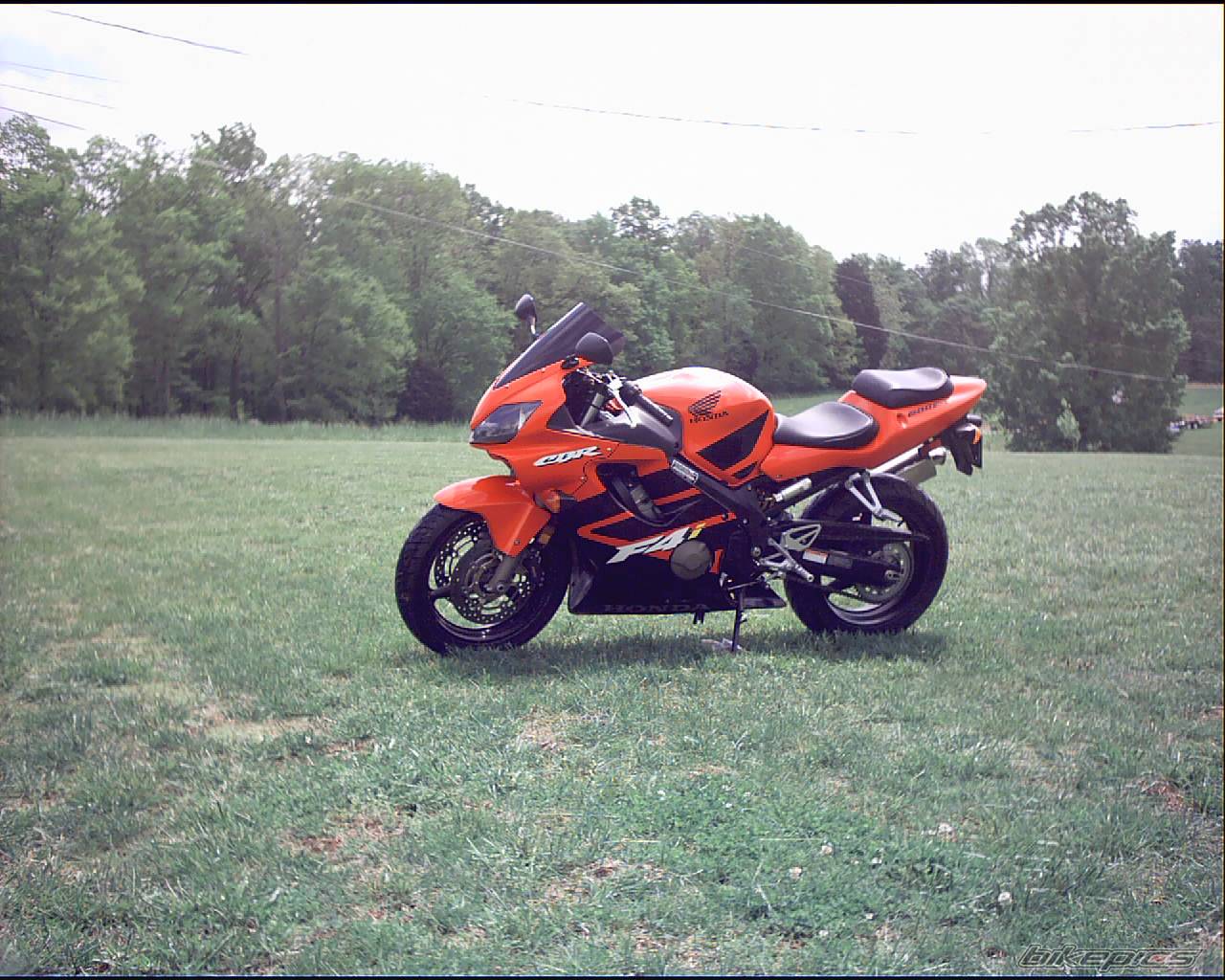 2002 HONDA CBR 600 | Picture 140542 motorcycle photo