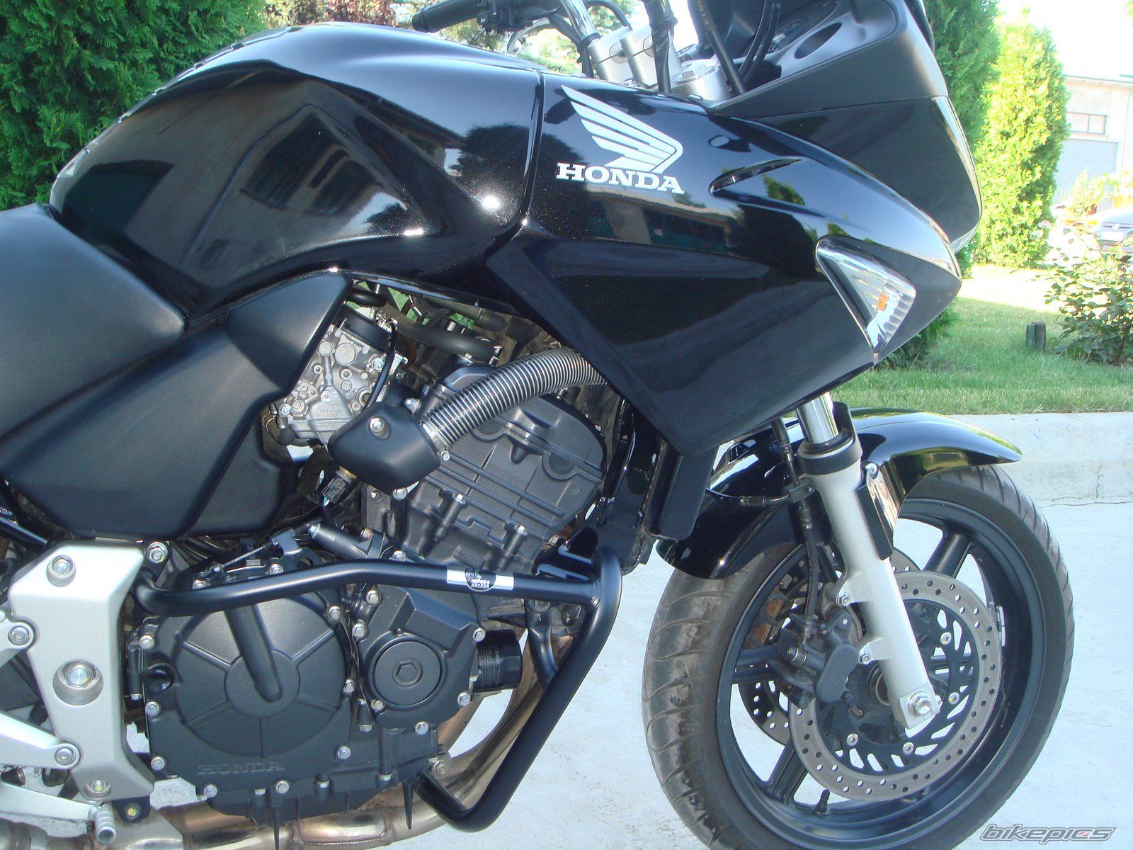 2007 HONDA CBF 600 | Picture 1405691 motorcycle photo