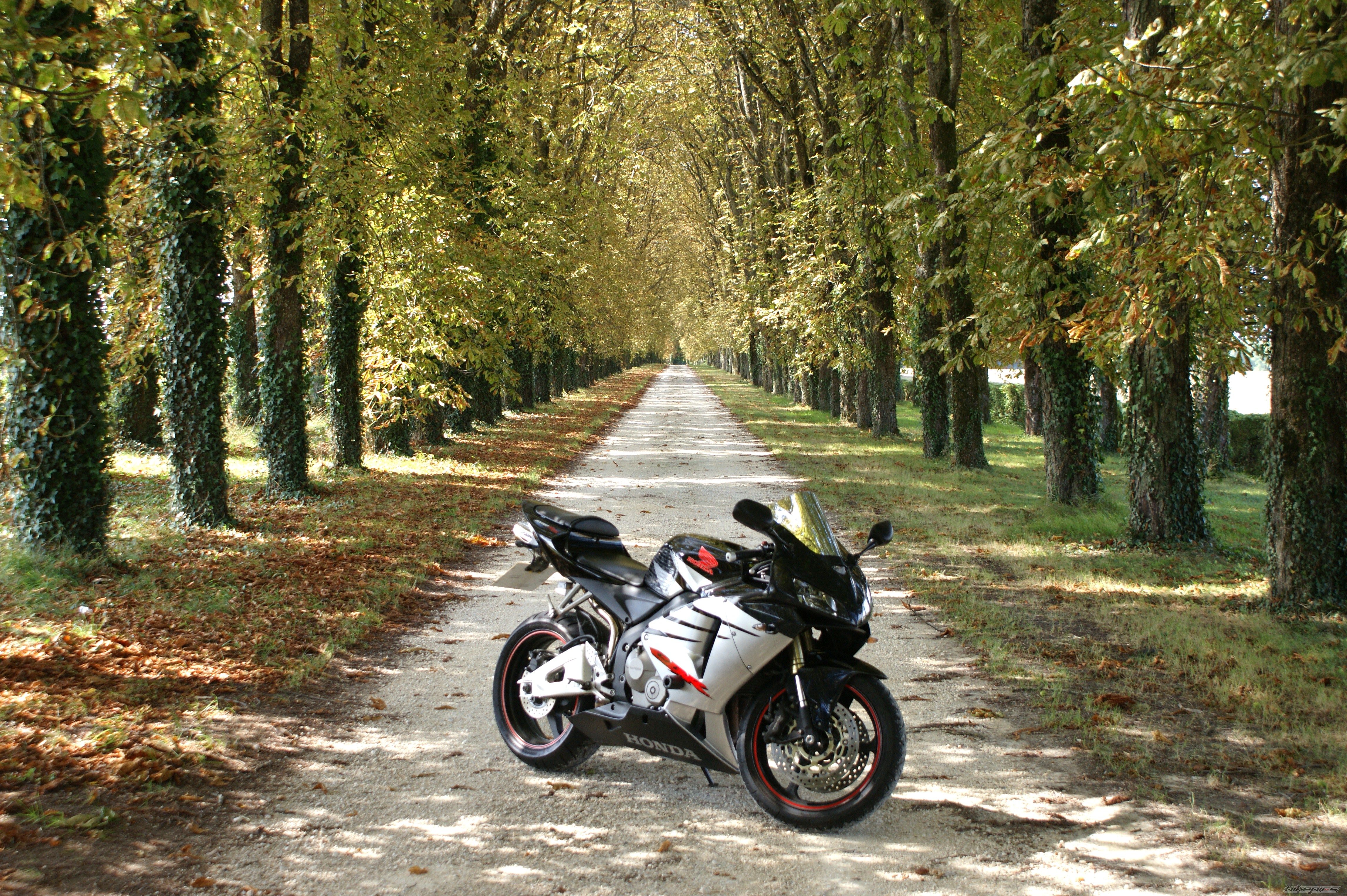 2005 HONDA CBR 600 RR | Picture 1405919 motorcycle photo