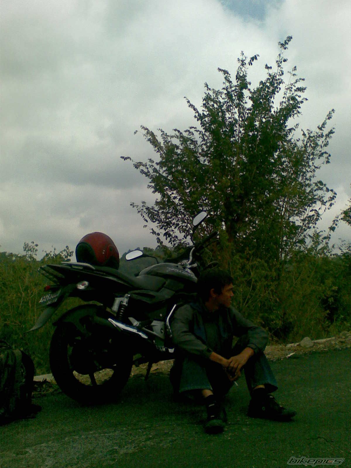2008 BAJAJ PULSAR 180 | Picture 1406445 motorcycle photo