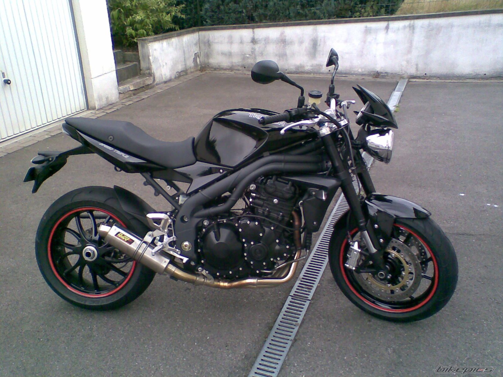 2008 TRIUMPH SPEED TRIPLE | Picture 1406546 motorcycle photo