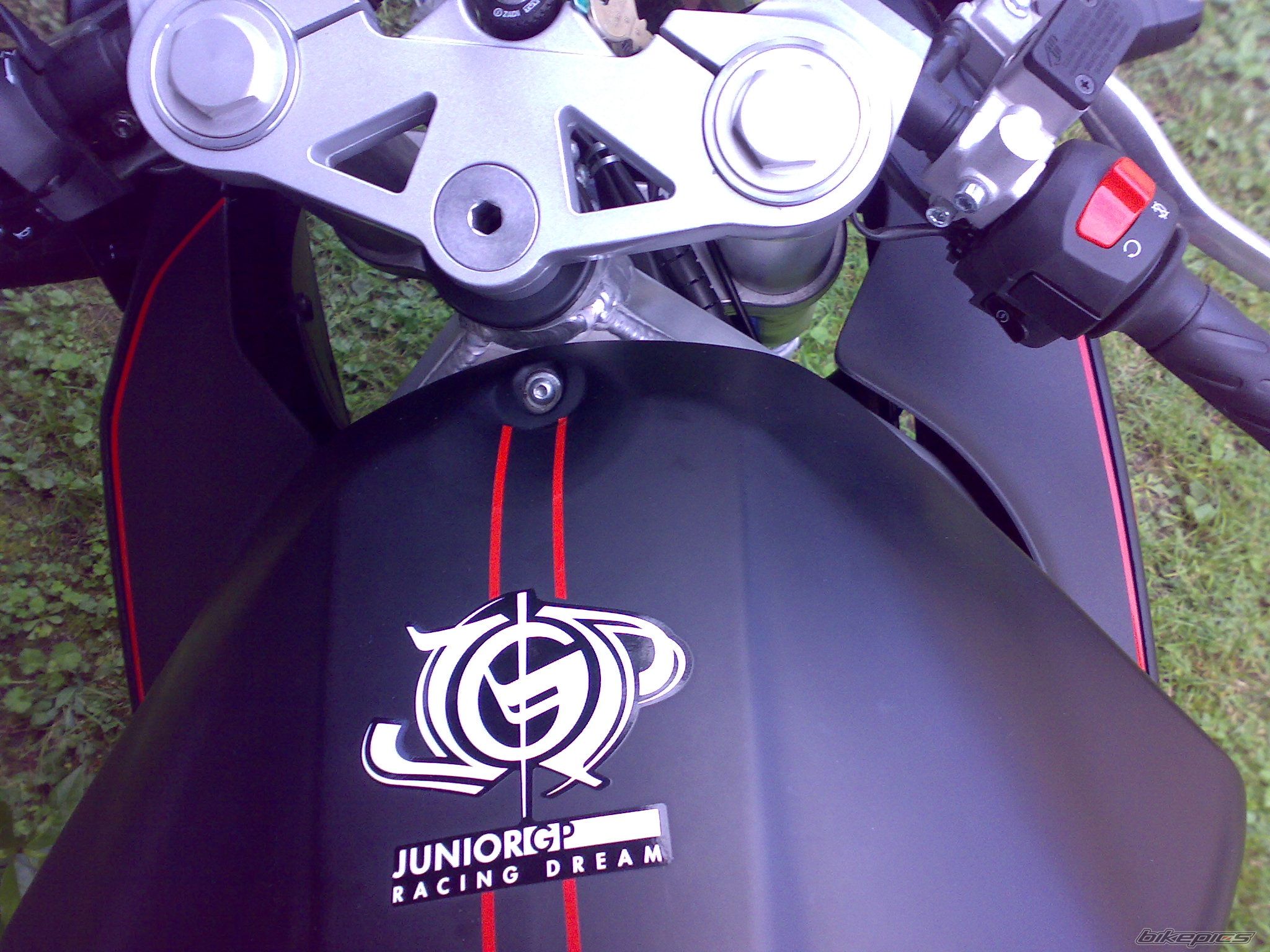 2008 APRILIA RS 50 | Picture 1406871 motorcycle photo