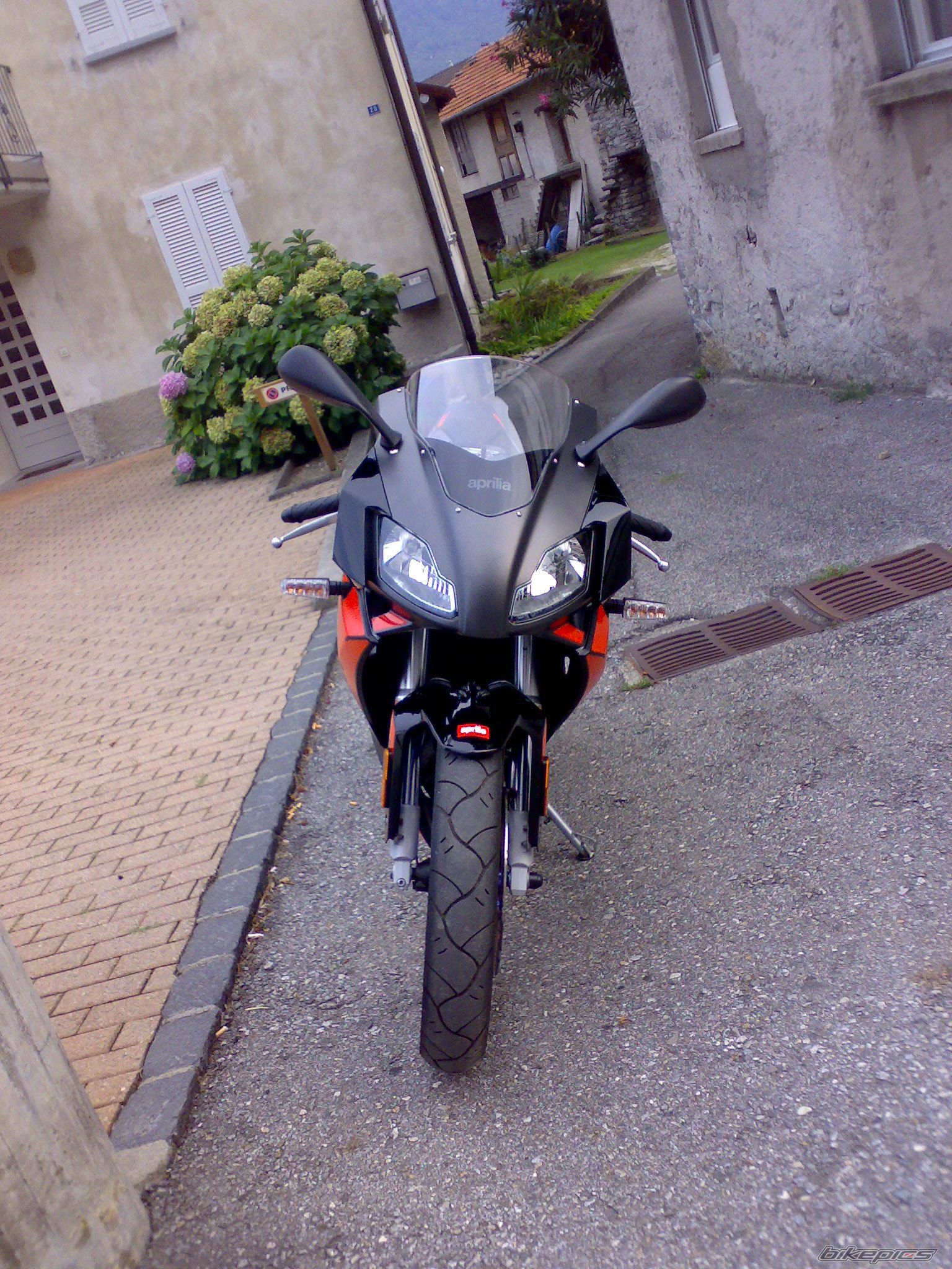 2008 APRILIA RS 50 | Picture 1406875 motorcycle photo