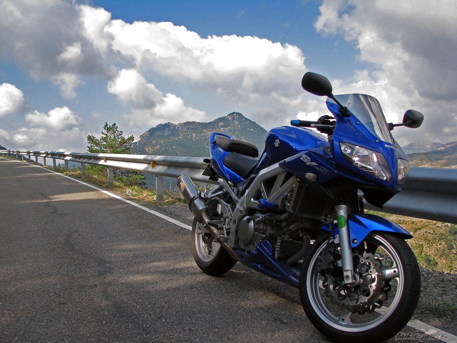 2004 SUZUKI SV 650S | Picture 1407359 motorcycle photo