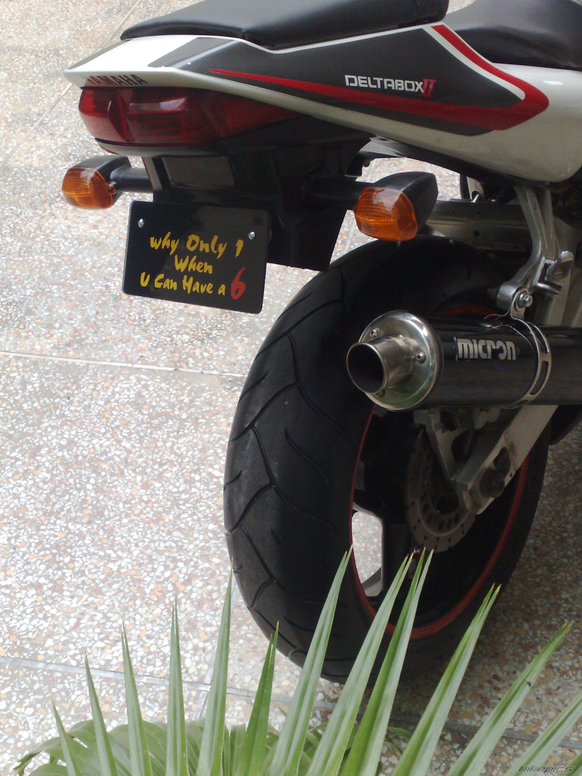 2000 YAMAHA YZF R6 | Picture 1407538 motorcycle photo