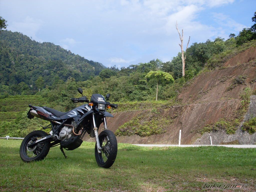 2005 MZ 125SM | Picture 1407964 motorcycle photo