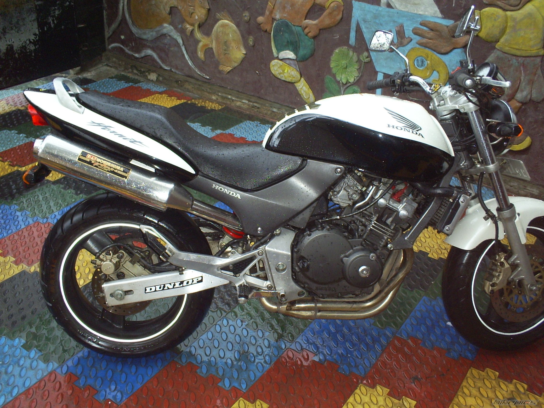 2008 HONDA CB 250 HORNET | Picture 1408283 motorcycle photo