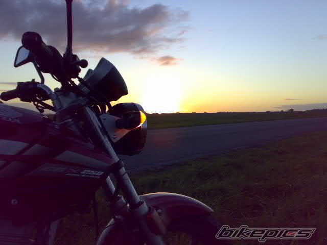 2007 HONDA CBF 250 | Picture 1408962 motorcycle photo