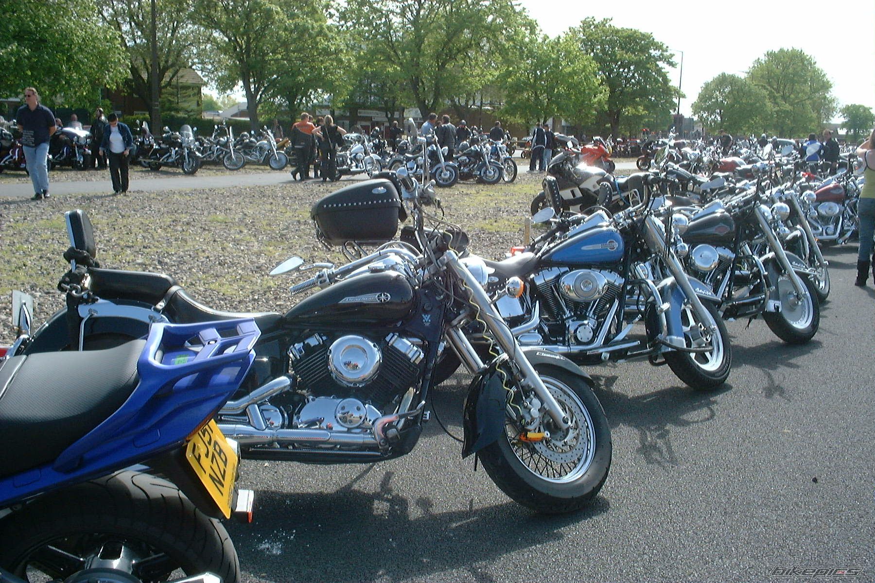 1998 YAMAHA XVS 650 DRAG STAR CLASSIC | Picture 1408967 motorcycle photo