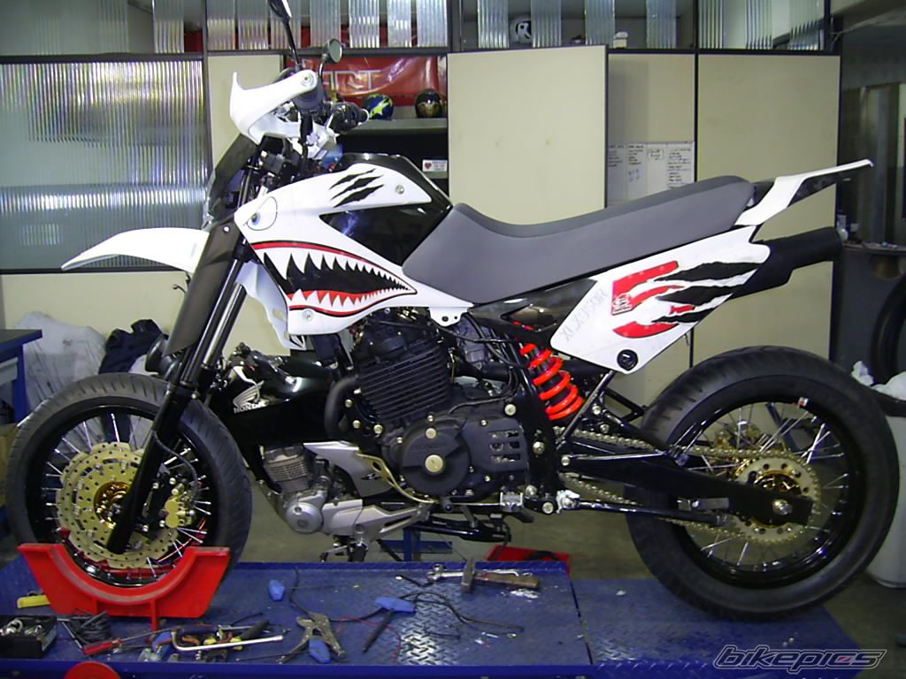 2008 HONDA XL 350 | Picture 1409052 motorcycle photo