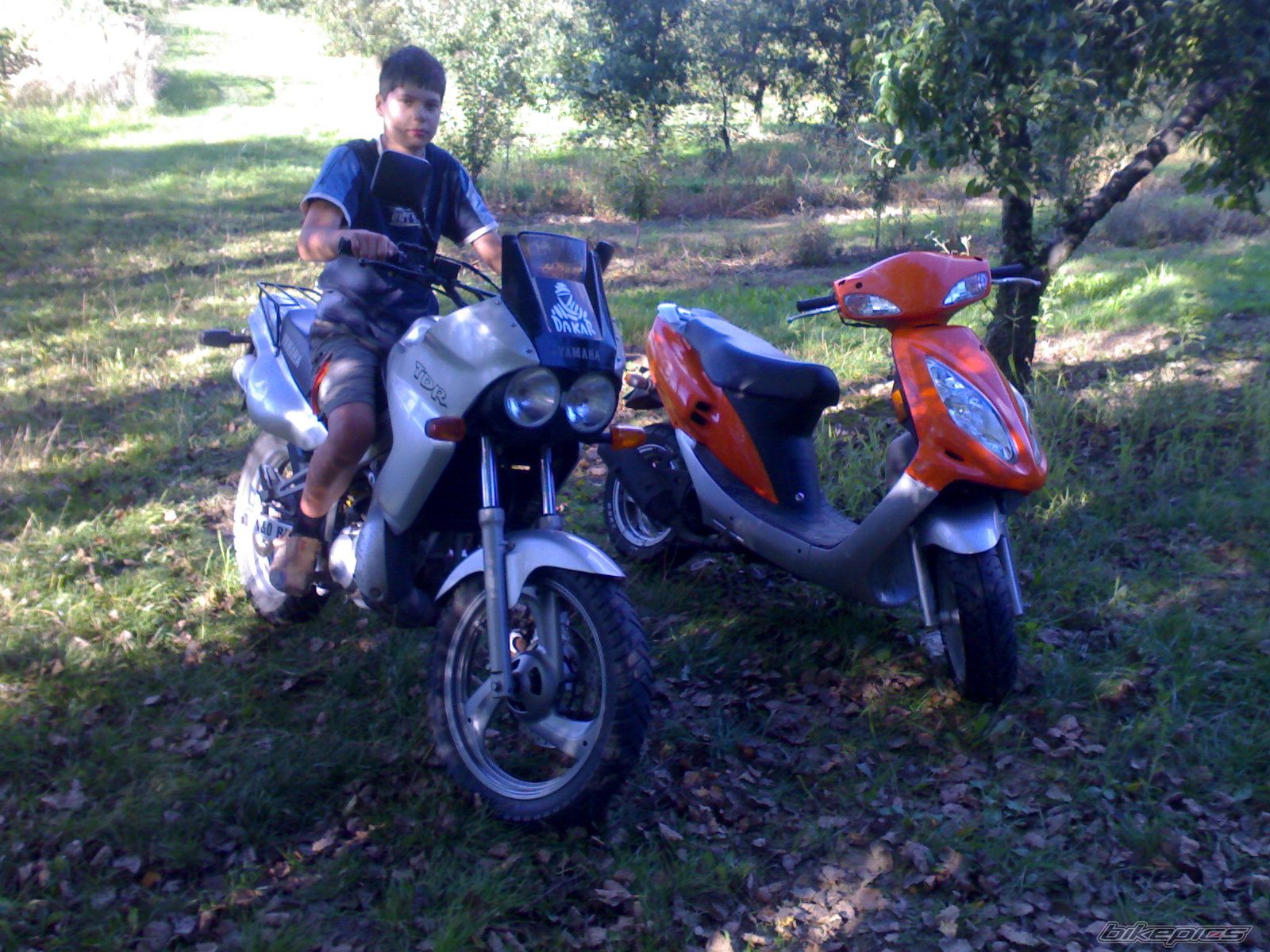 2005 SYM JET 50 EURO X | Picture 1409414 motorcycle photo