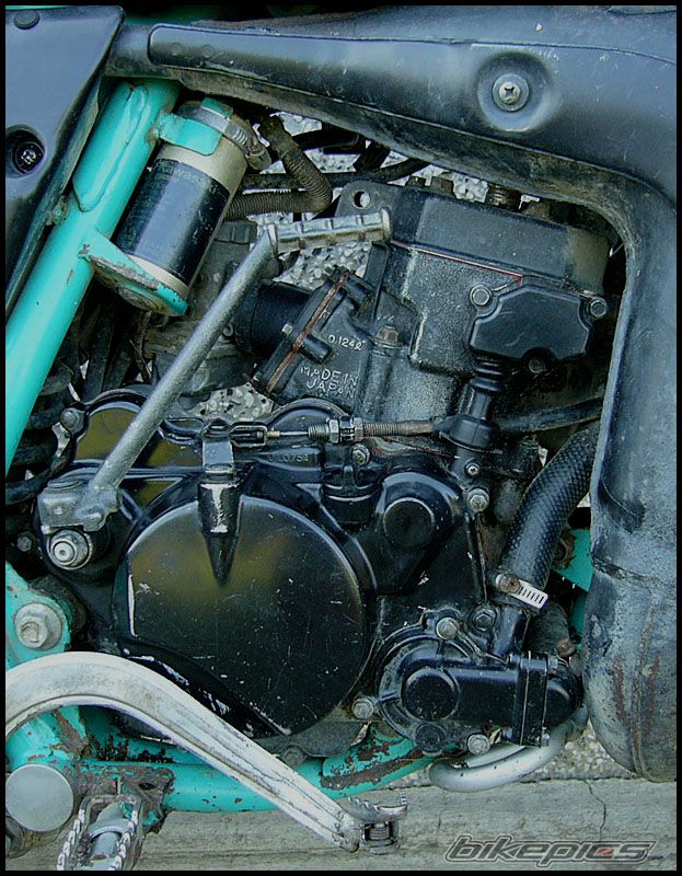 1997 KAWASAKI KMX 125 | Picture 1409833 motorcycle photo