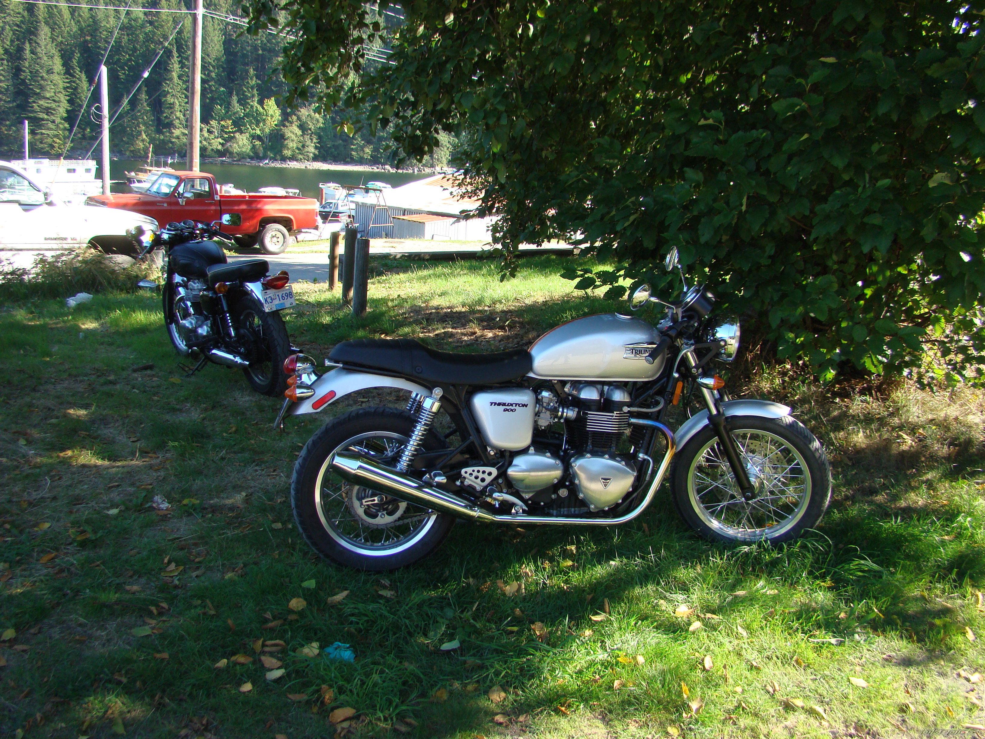 2008 TRIUMPH THRUXTON 900 | Picture 1410295 motorcycle photo