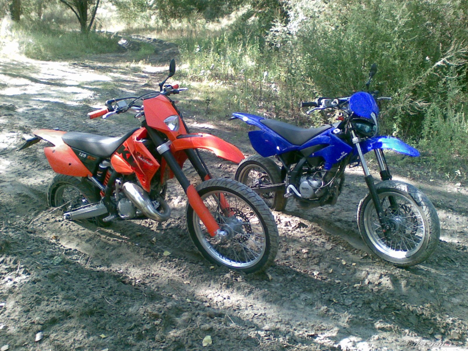2006 BETA RR 50 | Picture 1410355 motorcycle photo