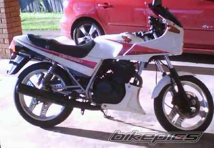 1987 HONDA CBX 250 | Picture 1410516 motorcycle photo