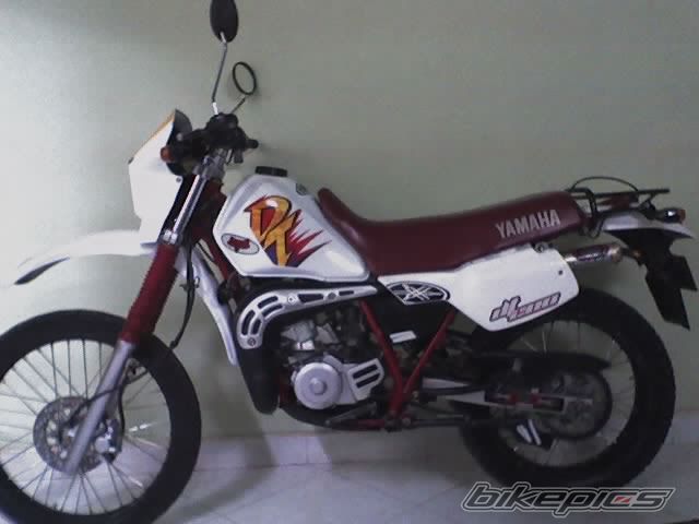 1997 YAMAHA DT 200 | Picture 1410526 motorcycle photo
