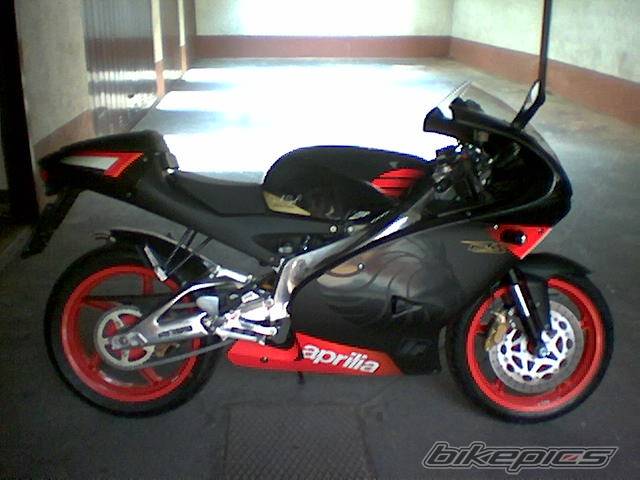2004 APRILIA RS 125 | Picture 141077 motorcycle photo