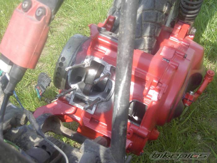 2004 PIAGGIO ZIP | Picture 141121 motorcycle photo