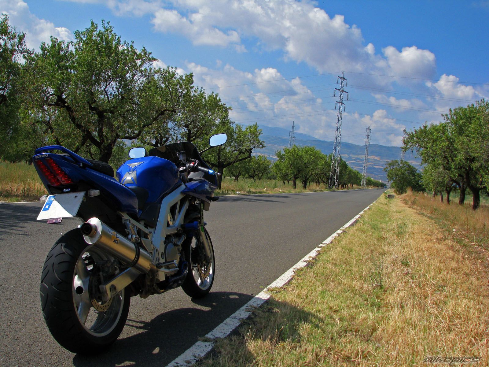 2004 SUZUKI SV 650S | Picture 1411462 motorcycle photo