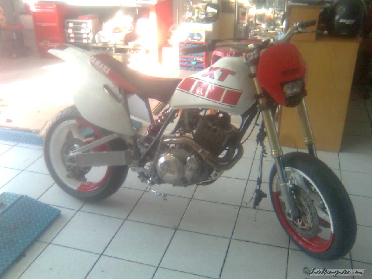 1981 YAMAHA XT 550 | Picture 1411696 motorcycle photo