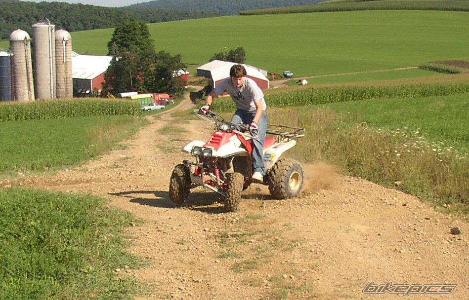 1988 YAMAHA WARRIOR | Picture 1412011 motorcycle photo