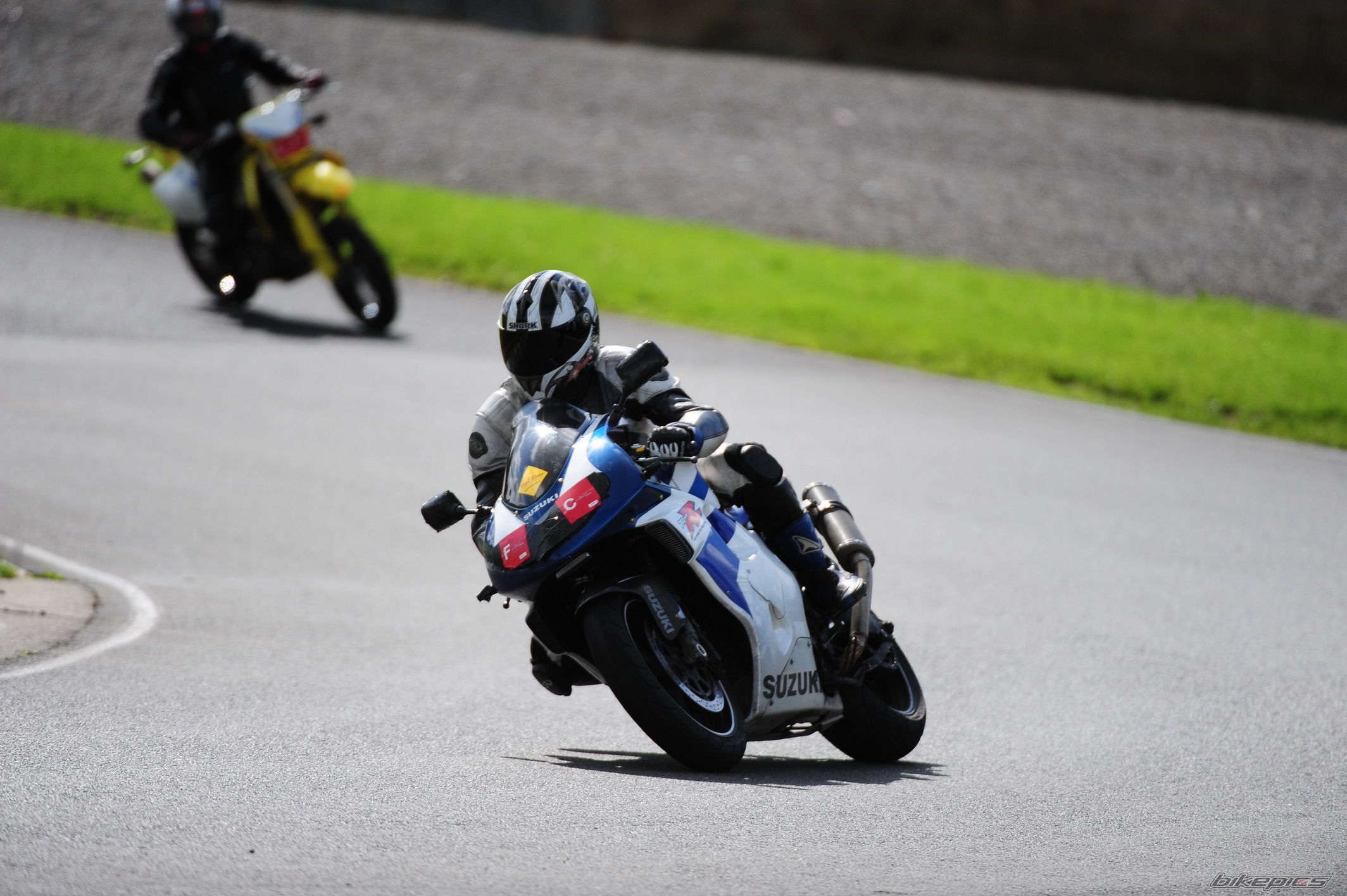 2008 SUZUKI TL1000R | Picture 1412016 motorcycle photo