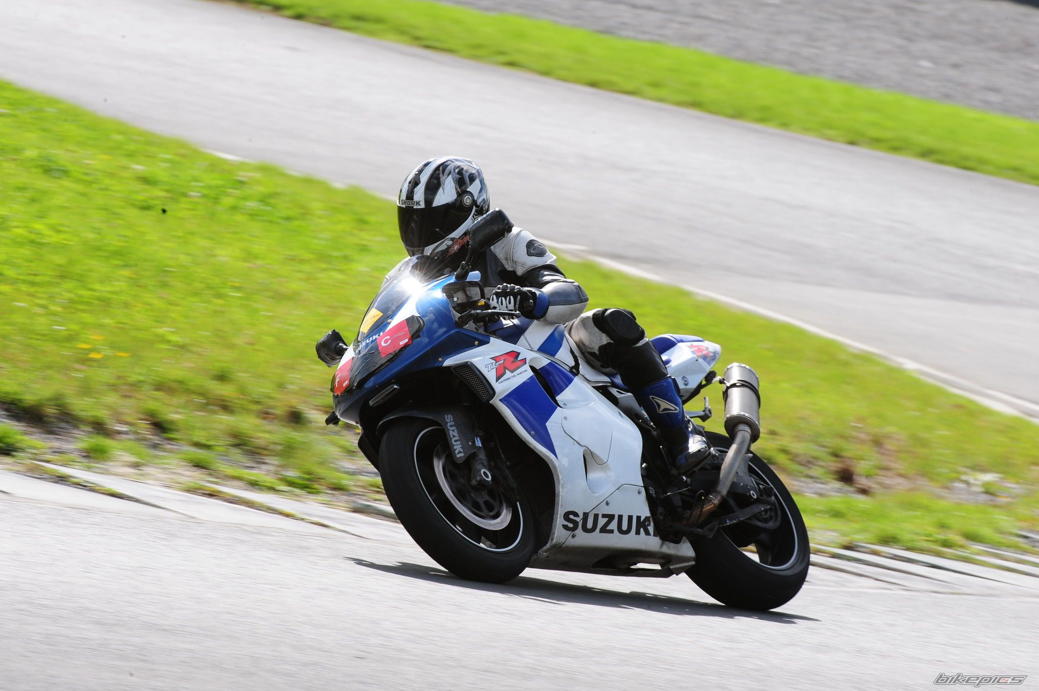 2008 SUZUKI TL1000R | Picture 1412021 motorcycle photo