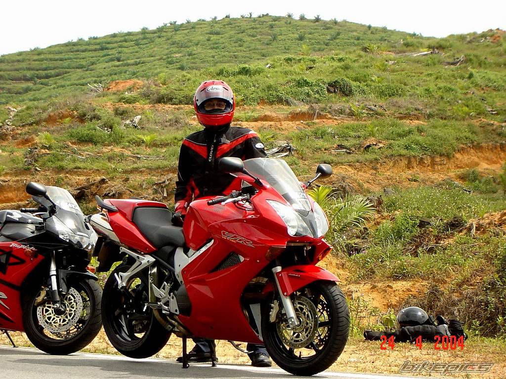 2003 HONDA VFR 800 | Picture 141205 motorcycle photo