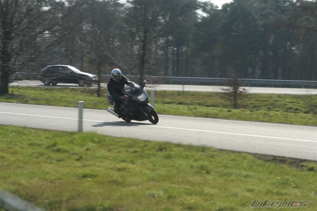 1996 HONDA CBR 1100 BLACKBIRD | Picture 1412094 motorcycle photo