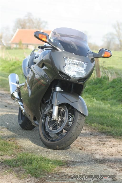 1996 HONDA CBR 1100 BLACKBIRD | Picture 1412095 motorcycle photo