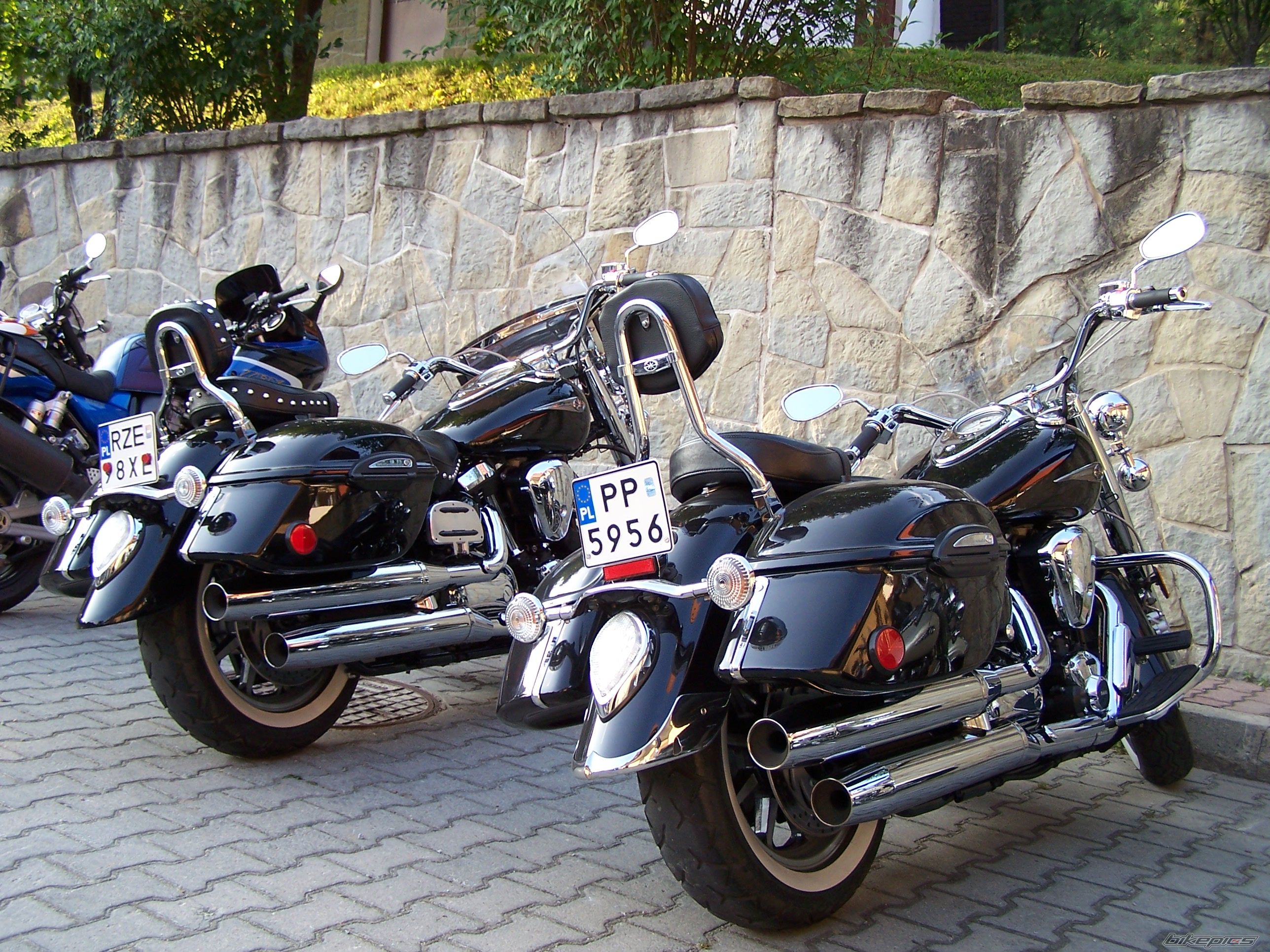    | Picture 1412145 motorcycle photo