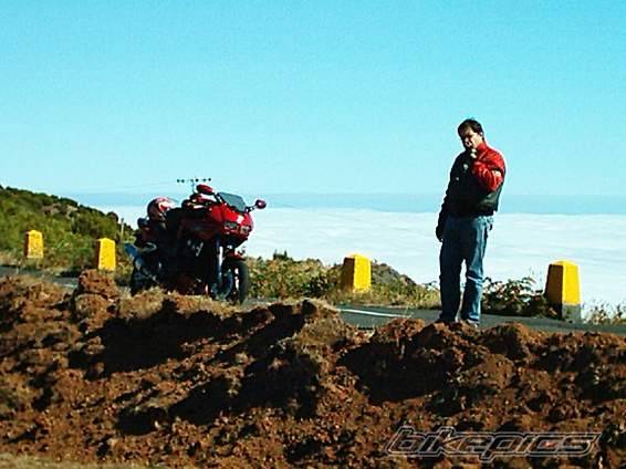2004 YAMAHA FZ6 FAZER | Picture 141228 motorcycle photo