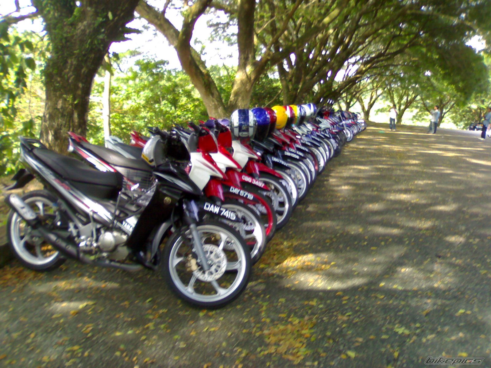 2008 YAMAHA 125 ZR | Picture 1412639 motorcycle photo