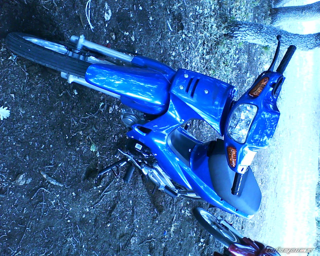2008 KYMCO KYMCO FILLY | Picture 1413410 motorcycle photo