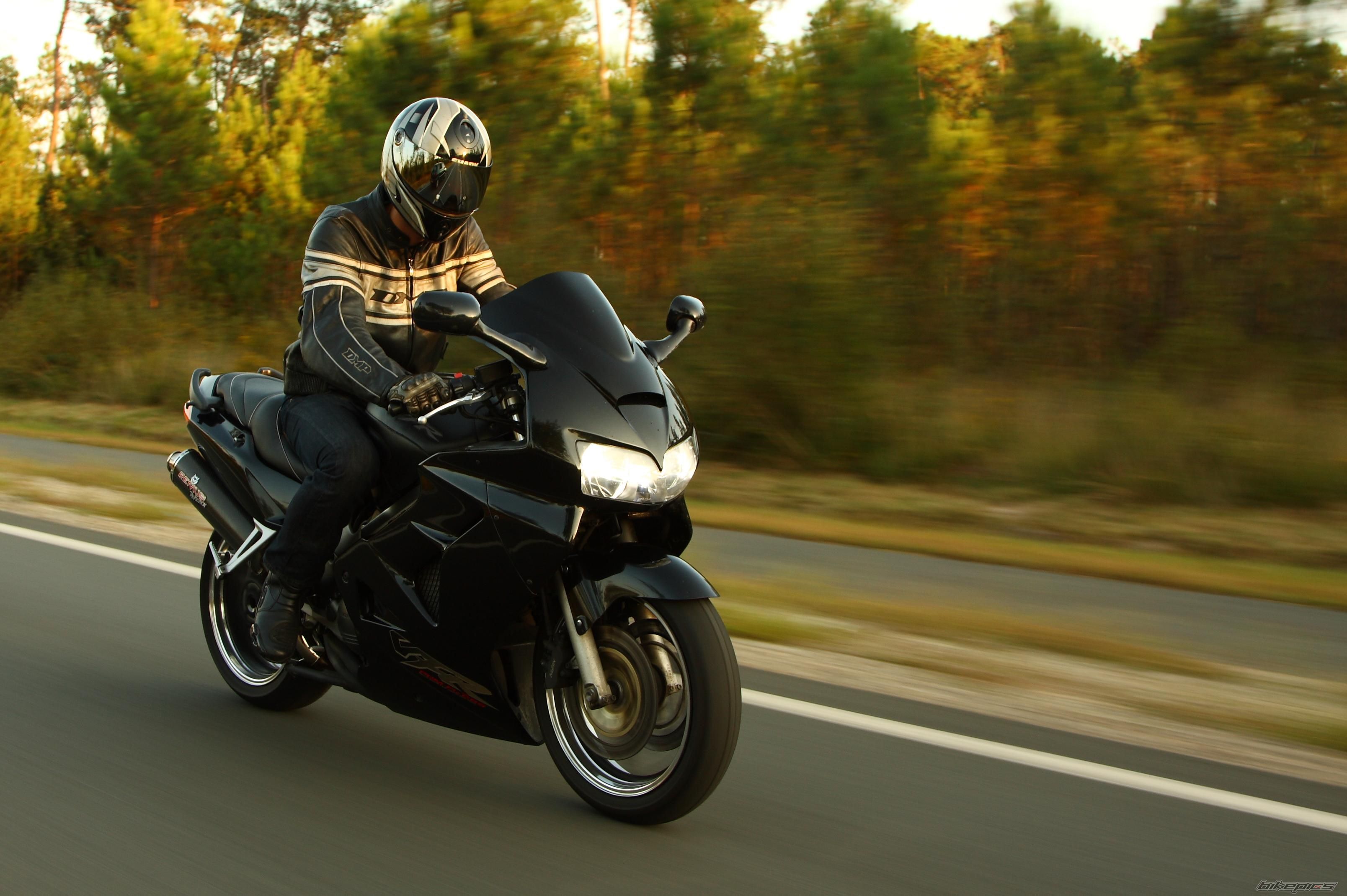 1999 HONDA VFR 800 | Picture 1413513 motorcycle photo