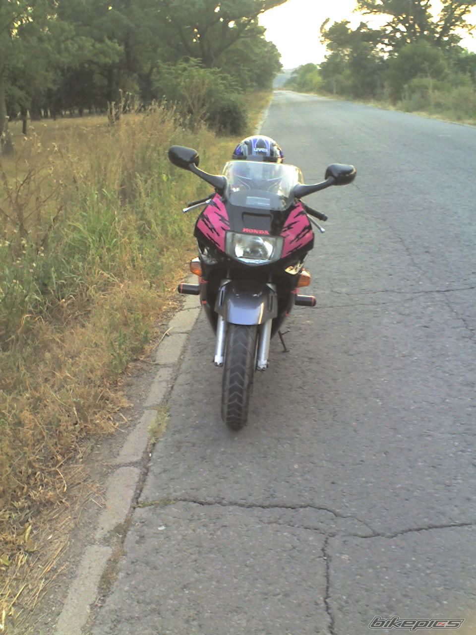 1994 HONDA CBR 600 | Picture 1413839 motorcycle photo