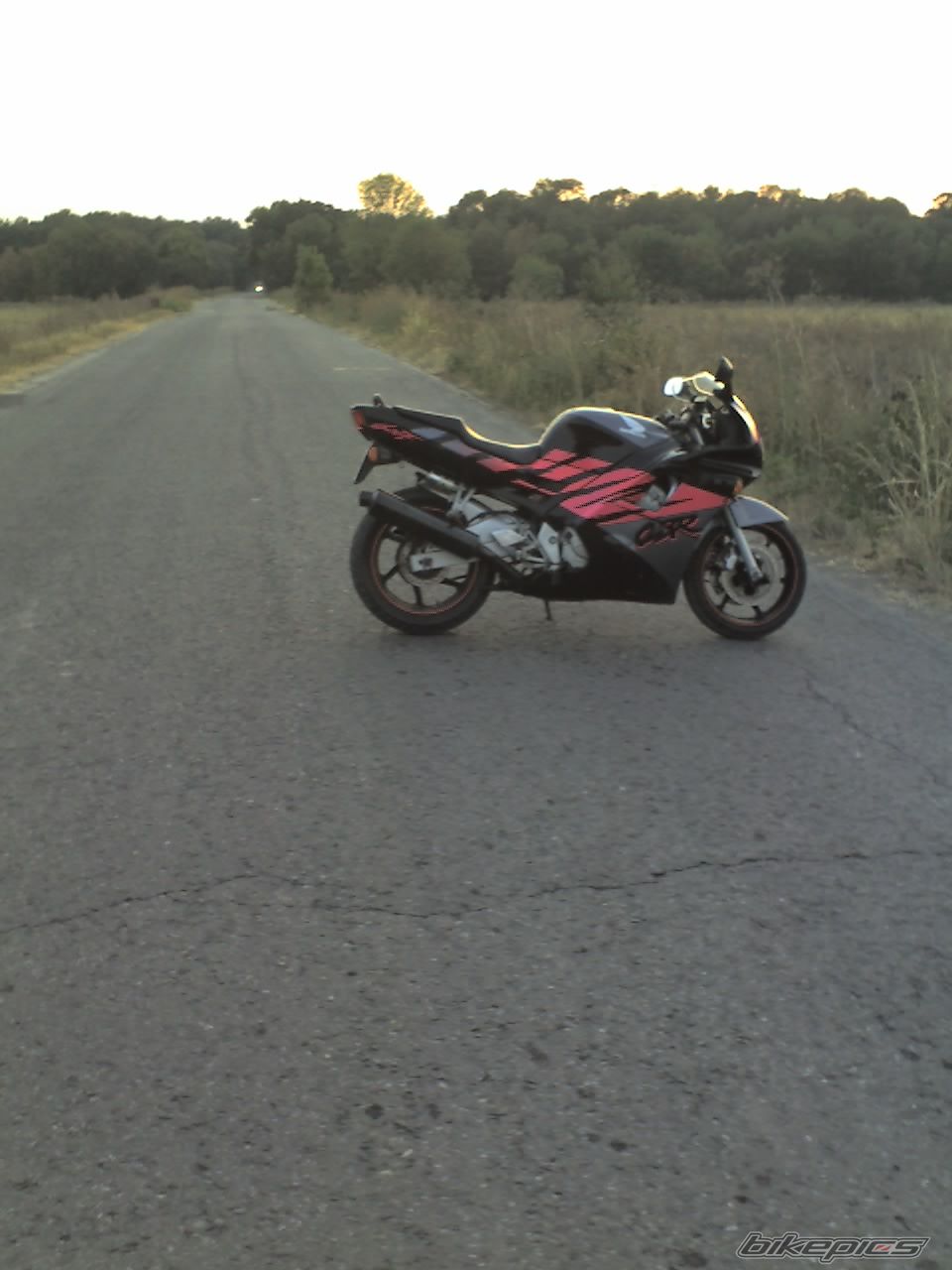 1994 HONDA CBR 600 | Picture 1413843 motorcycle photo