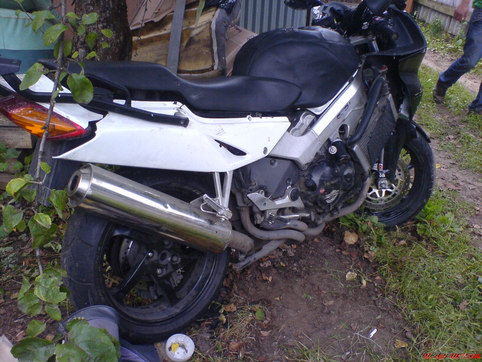 1999 HONDA VFR 800 | Picture 1414531 motorcycle photo