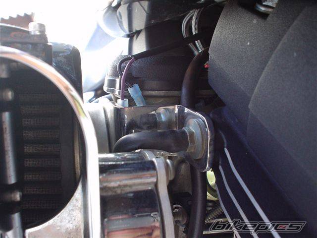 2000 HARLEY DAVIDSON FXSTB | Picture 141483 motorcycle photo