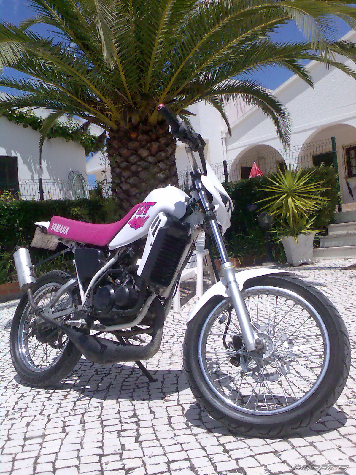 2009 YAMAHA DT 50 | Picture 1415529 motorcycle photo