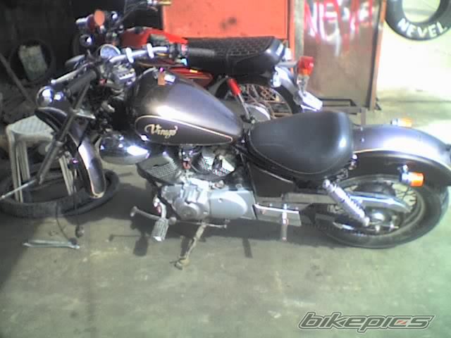    | Picture 1415598 motorcycle photo