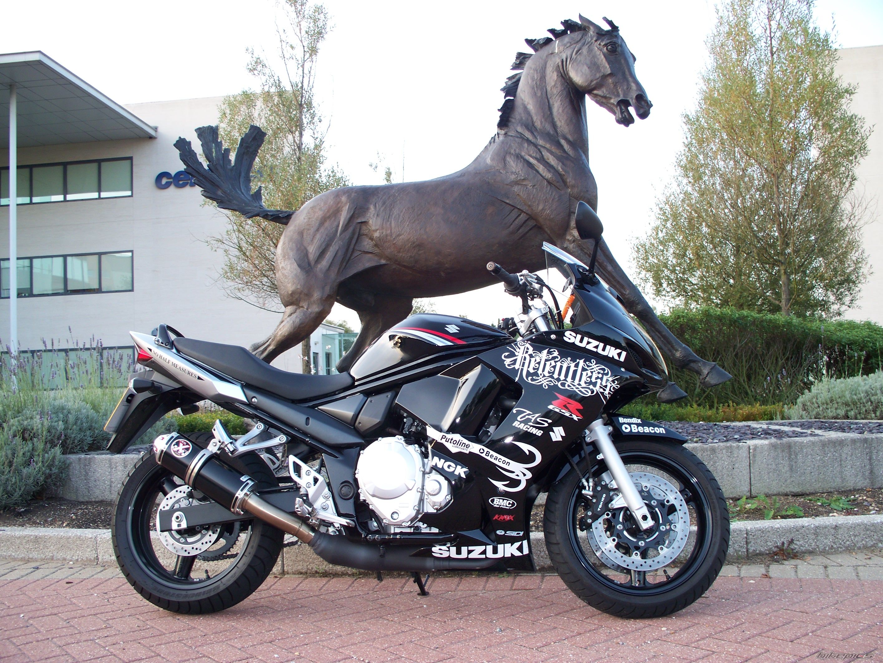 2008 SUZUKI BANDIT 650 | Picture 1415982 motorcycle photo