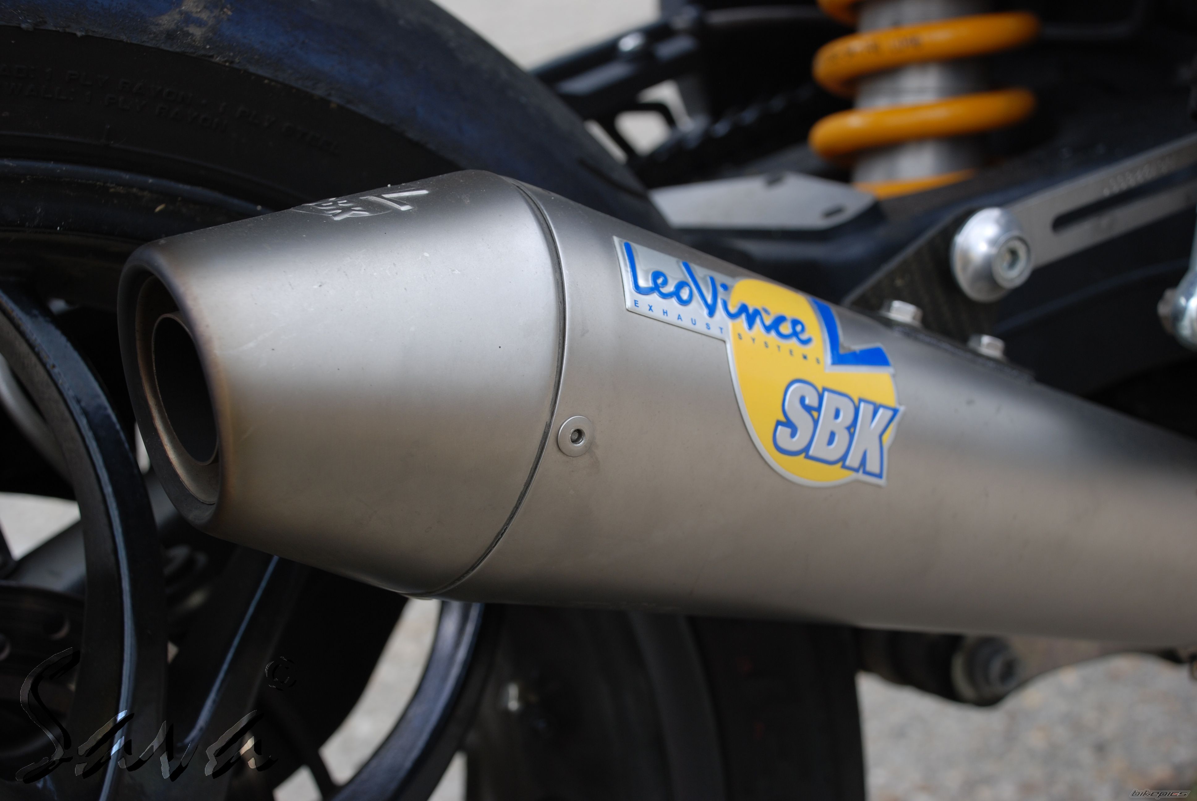 2008 TRIUMPH SPEED TRIPLE | Picture 1415984 motorcycle photo
