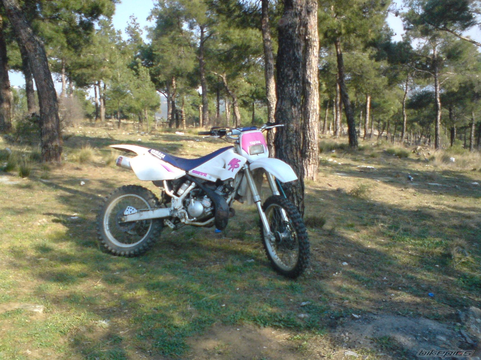 2008 YAMAHA WR 200 | Picture 1416001 motorcycle photo